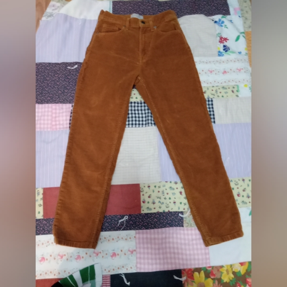 Everlane Corduroy Cheeky Cropped Jeans High Rise 90s size 26 Preppy 90s Y2K Boho